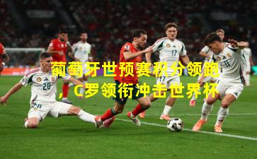 葡萄牙世预赛积分领跑,C罗领衔冲击世界杯