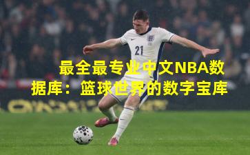 最全最专业中文NBA数据库:篮球世界的数字宝库