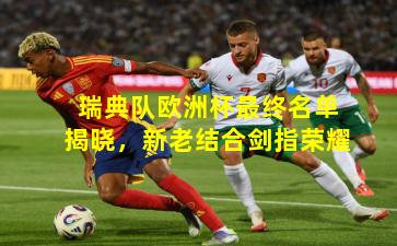 瑞典队欧洲杯最终名单揭晓,新老结合剑指荣耀