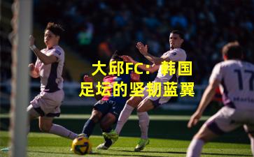 大邱FC：韩国足坛的坚韧蓝翼