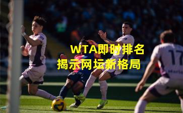 WTA即时排名揭示网坛新格局